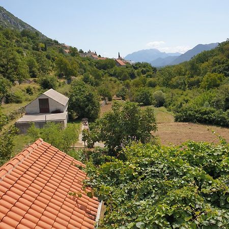 Apartman Nature Zvecanje Экстерьер фото